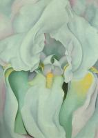 O Keeffe, Georgia - Light Iris